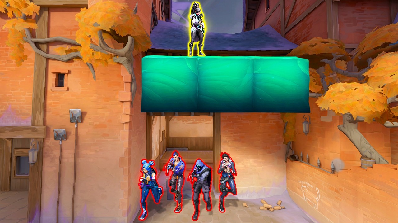 rank #1 kayo hates my walls…