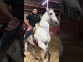 El caballo de Pepe con el grupo