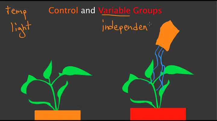 Control and Variable Groups