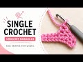 Learn the Single Crochet Stitch in 5 Minutes | Crochet Basics #4 | #crochet 