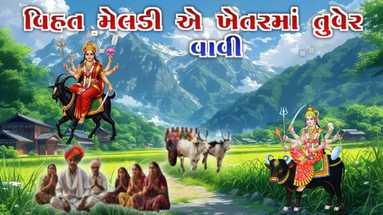 વિહત મેલડી એ ખેતરમાં તુવેર 🌾વાવી..#viral#trending#viralvideo#subscribe#support#meldi#vihat 