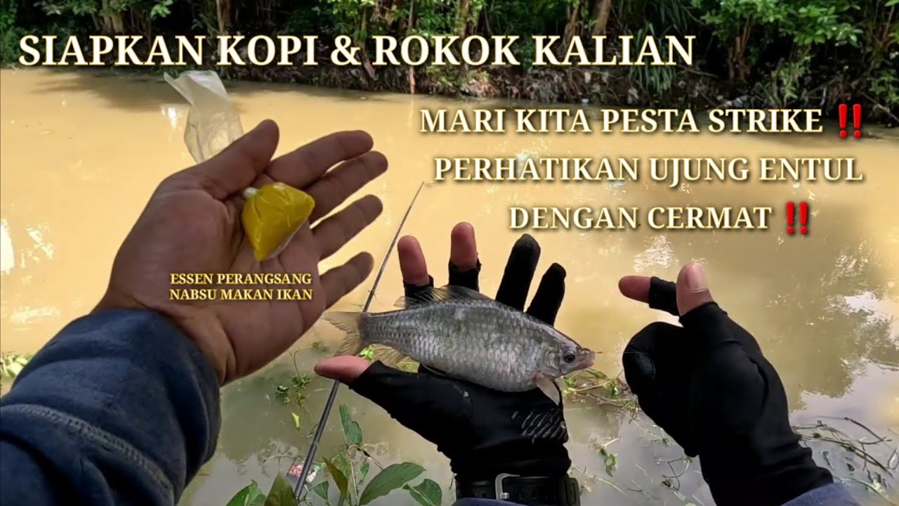 MANCING NILEM HARI INI PANEN BESAR ‼️ HITUNGAN DETIK PLUNG NYOT ‼️ UMPAN PERANGSANG NABSU MAKAN IKAN