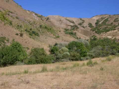 Zercane Çolig - Tirane - Daye Sona - Zer Veseno