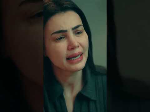 سابت الدنيا وبعدت عن الكل حكيم باشا  سابت الدنيا وبعدت عن الكل حكيم باشا