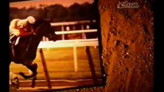 Ruffian (april 17, 1972--july 7, 1975) was an american champion
thoroughbred racehorse. is considered by many to be the greatest
female racehorse in ...