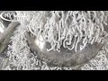 Rotary granulator / perforated basket granulator for wet granulation