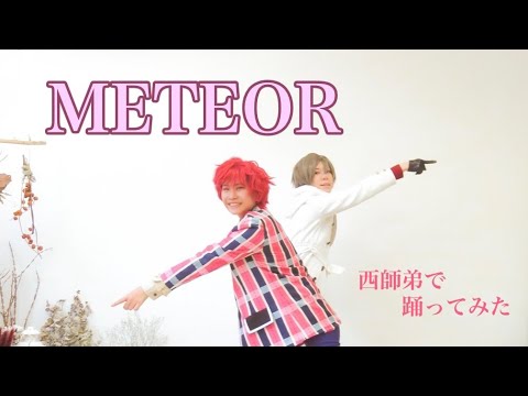 【まほやく】METEOR  踊ってみた【西師弟】