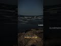 اخر زوامل يوسف مطهر صاحبي صاحبي يبقى لنا العز جديد 2025 اخر زوامل يوسف مطهر صاحبي صاحبي يبقى لنا العز جديد 2025