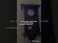 Shorts Час не питає 