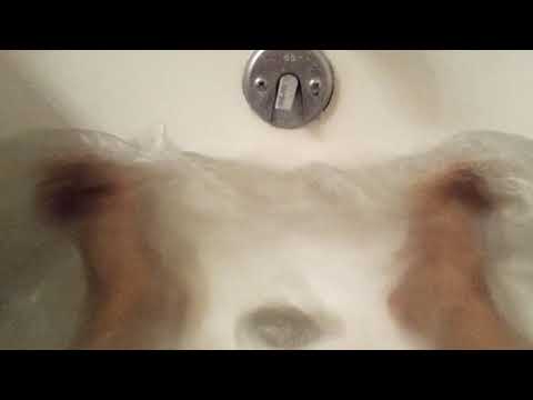 ASMR SPLASHING FEET