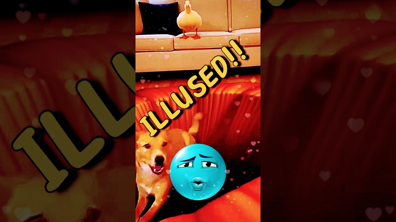 “Anybody can Illused”!! 🤣😆😂 