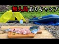 【2馬力】12000円の激安エンジンで無人島に渡って釣った魚を捌いて食べる1泊2日の釣行