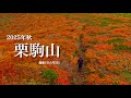 【栗駒山 2025年秋】 10月 今年も無事に歩いてきました　一期一会の山歩き