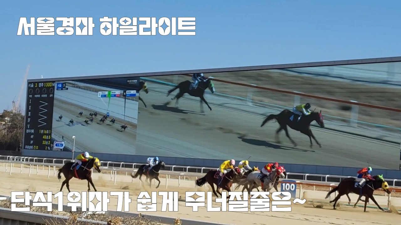 단식1위마도 믿을말이 못되!