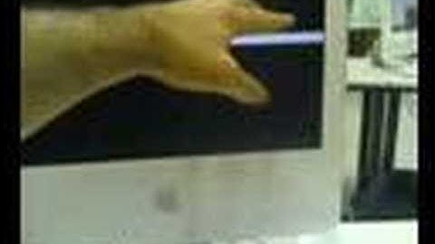 Arduino + Processing + Ultrasonidos = sensor de posicion