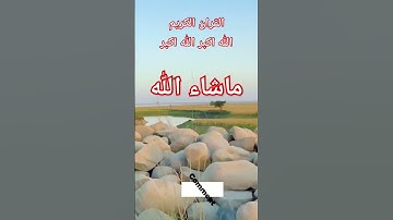 #القران_الكريم #تلاوه_خاشعه قال رب انیی ظلمت نفسی#الشيخ محمود الشحات #foryou
