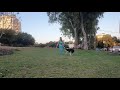 Roni Sagi and Pessah - Freestyle 1 canine freestyle (dog dance)