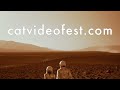 CatVideoFest 2023 - Official Trailer - Oscilloscope Laboratories HD