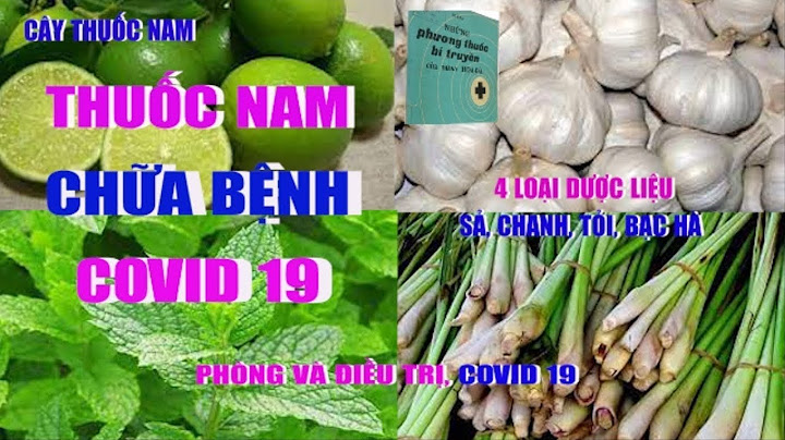 Những chú ý khi sử dụng thuốc nam dụng cho gia súc, gia cầm