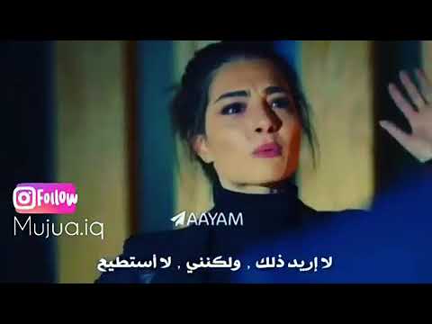 نغمه أغنيه I Hate You I Love You Youtube