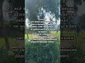 А вы умеете радоваться жизни и наслаждаться моментом?! #shorts #любовьксебе  #мотивациядня