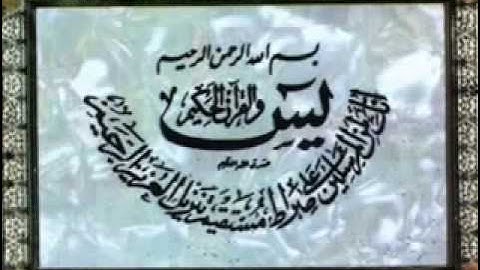 أروع تلاوة علي اليو تيوب للشيخ 👍(محمود أبو الوفا الصعيدي)👍