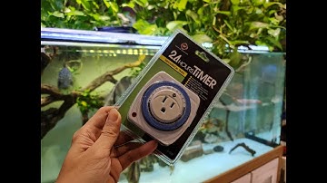 BỘ HẸN GIỜ BỂ CÁ CẢNH 24H hours TIMES