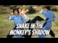 Wu tang collection  snake in the monkeys shadow widescreen