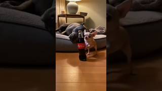 Httpsyoutubecomshortsalghabpwbmcsinrypfsdsxkmmfad4