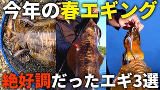 Other than Egi-oh K] This year's personal spring squid killer is