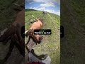絶望していた馬を一人で起こした結果…