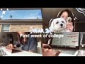 🍁 first week of college vlog | upenn | online classes, readings, late night studying~