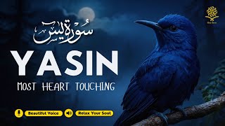 Peaceful Surah Yasin (Yaseen) سورة يس for Deep Sleep & Stress ✦ Peaceful Quran Recitation screenshot 1