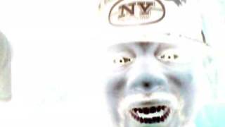 Capture 20090420