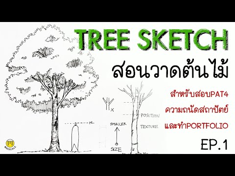 Tree sketch วาดต้นไม้  ใช้สอบPAT4