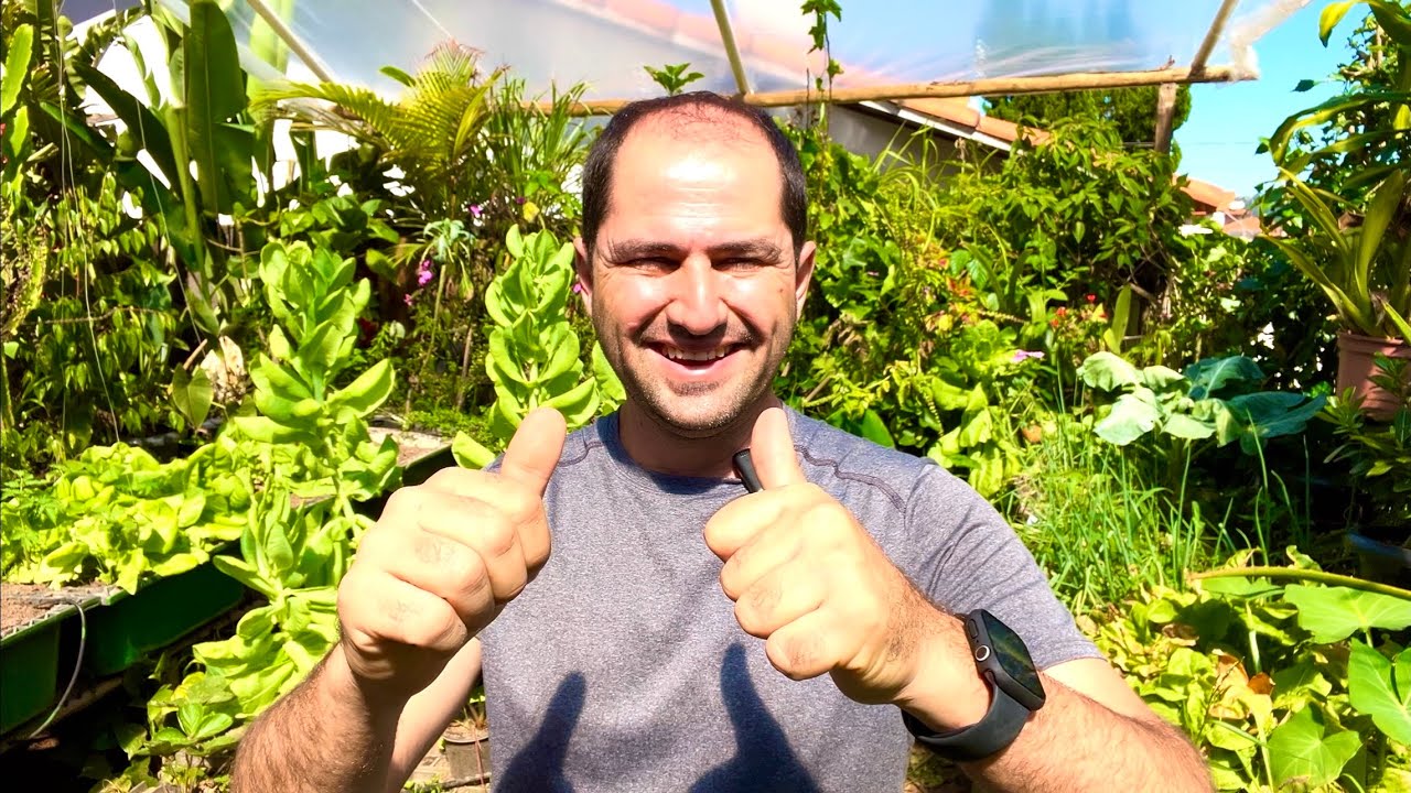 COMO ESTÁ A HORTA DEPOIS DE 40 DIAS FORA - COMEÇOU A MANUTENÇÃO