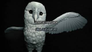 DEFTONES - RISK sub español and lyrics