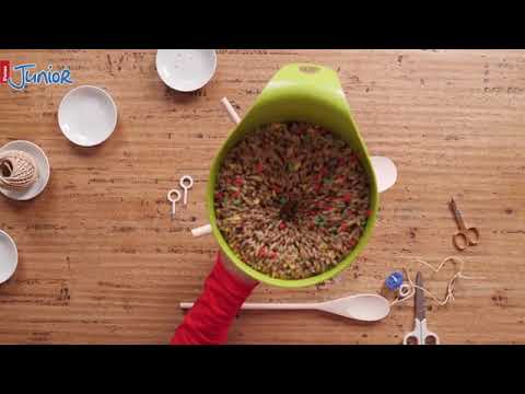DIY Bird Feeder - Workshop
