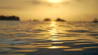 Water waves stock video | beautiful Waves | Free download | No copyright