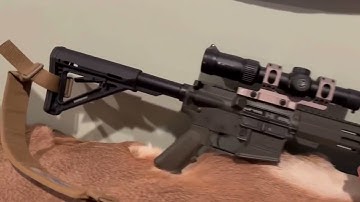 Cover Image for Great Lakes Ar15 review