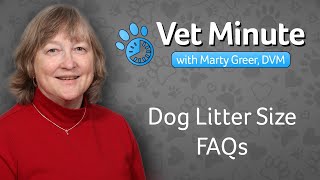 Dog Litter Size FAQs