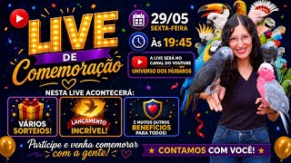 LIVE ESPECIAL: Com SORTEIOS, LANÇAMENTO e MUITAS SURPRESAS