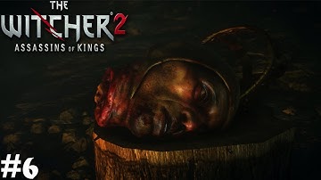 The Witcher 2 Assassin