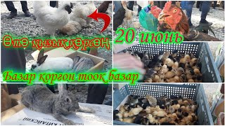 Базар коргон,тоок базар,өтө кызык, баары бар