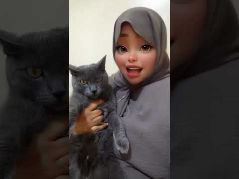 ماكينش صافي من بارح Cat Chats Drôles اكسبلور 