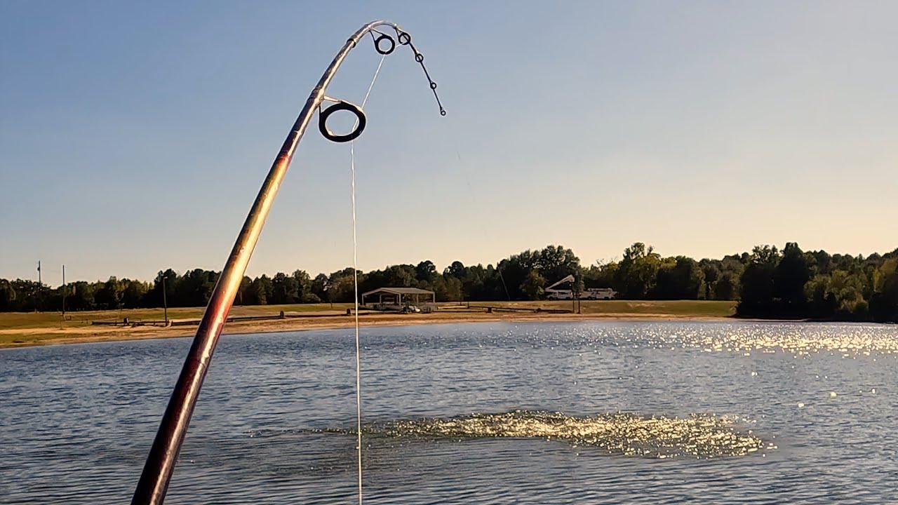 18 Inch Bass On The Chatter | Catch Clean Cook Over The Fire