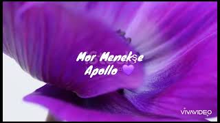 Mor Menekşe