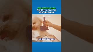 Dog Calming Code: This Shows Your Dog Who's In Charge