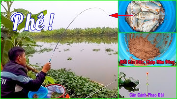 Câu Đài Nghiệp Dư ➣ Cá Ăn Liên Tục Giật Không Kịp Thở Luôn