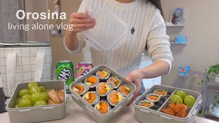 living alone vlogㅣPacking a lunch box with kimbap and going on a picnic. Making Buldak Tteokbokki
